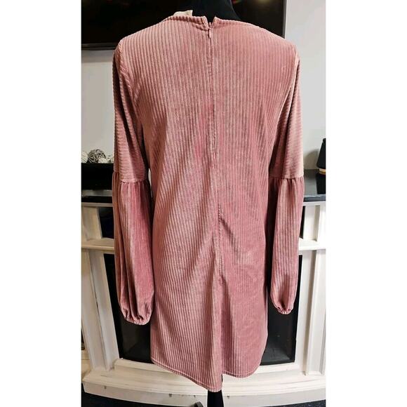 Altard State Dress Womens Medium Pink Ribbed Velvety Soft Balloon Sleeve - Picture 2 of 7